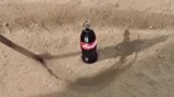 Хөөрхөн реклам - Coca Cola