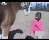 Хүүхдийг үснээс нь хазаад шиддэг морь АЙМАРРР