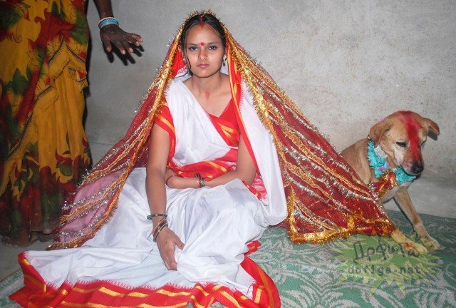 18 настай энэтхэг бүсгүй золбин нохойтой гэрлэлээ