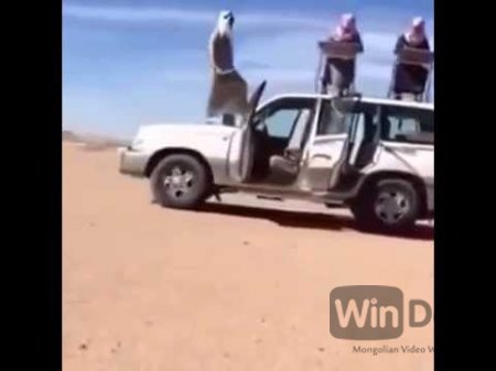 Арабууд машиныг ёстой эдэлж өгдөг VIDEO