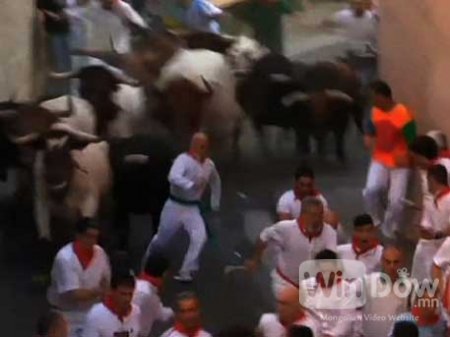 Испанид бухын нэгэн баярын үеэр мөргүүлсэн хүн нас баржээ (бичлэг)