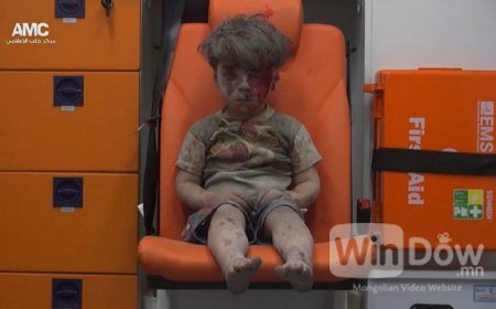 Сири хүүгийн зураг дэлхий нийтийг цочирдууллаа