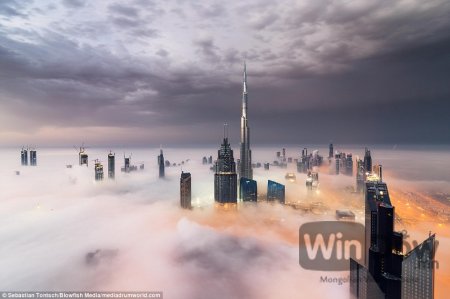 Дубайн хунтайж кофегоо дэлхийн хамгийн өндөр цамхаг дээр уув VIDEO