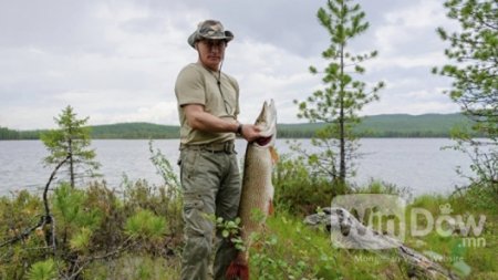 В.Путин Тувад амрах үеэрээ цурхай загас агнажээ