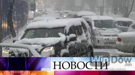 Владивостокийн анхны цаснаар ийм их осол