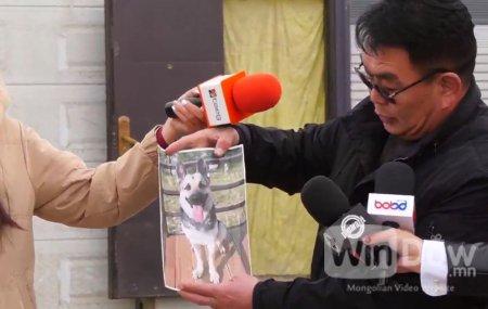 ШУУД: Вьетнам засварынхан гэрийн тэжээвэр нохойгоор хоол хийж иддэг үү?