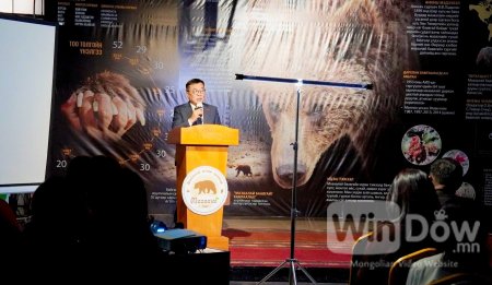 “Мазаалай баавгайг таниулах үндэсний хөтөлбөр”-т 10 мянга гаруй хүүхэд, залуус хамрагдлаа